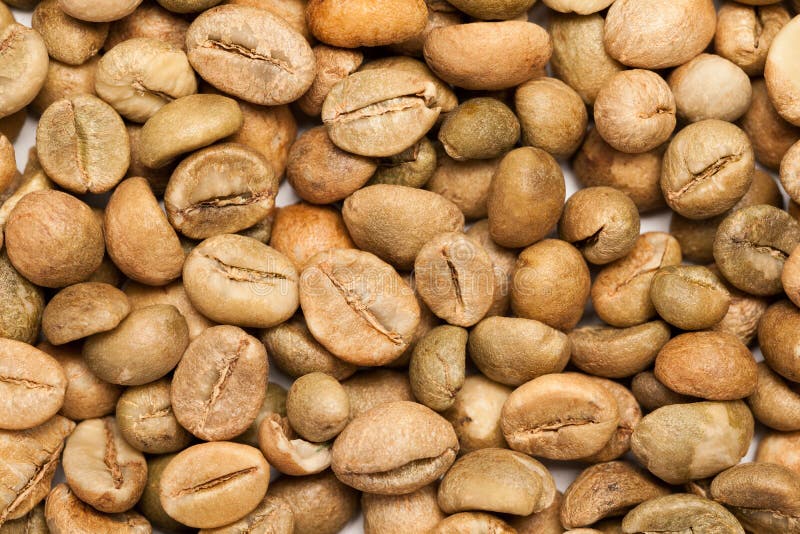 Dry Green Coffee Beans (Coffea Arabica) Stock Image Image of beens, coffee 46577313