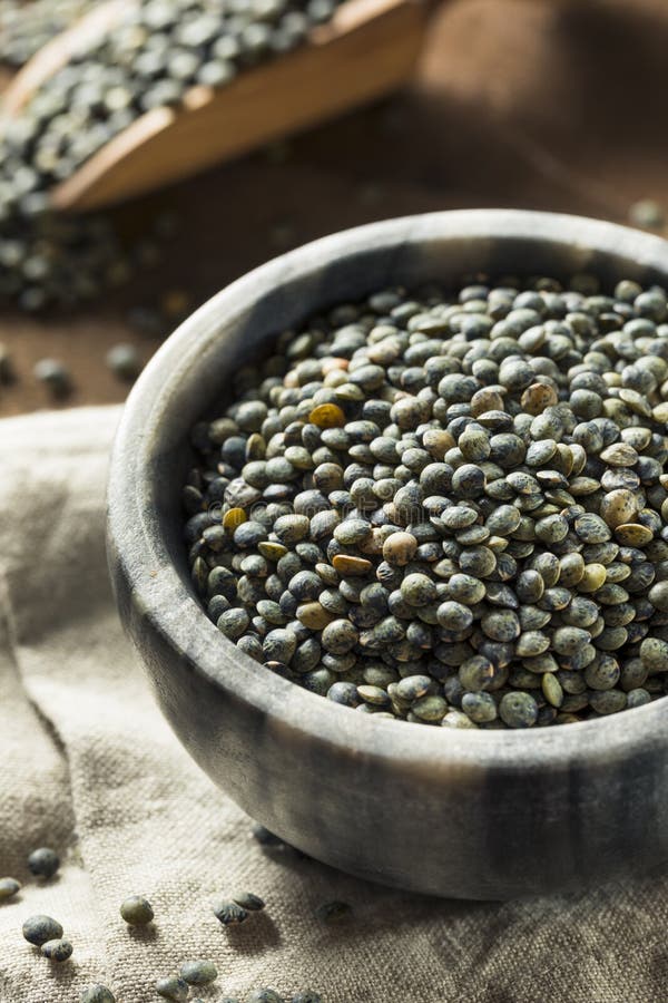 Dry Green Organic French Lentils Stock Image - Image of heap, delicious ...