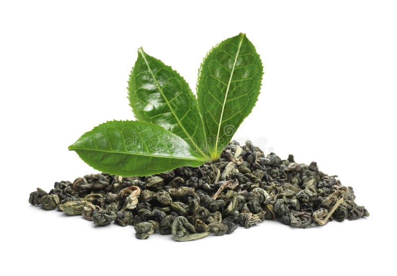Dry Green Tea and Fresh Leaves on White Background Stock Image Image