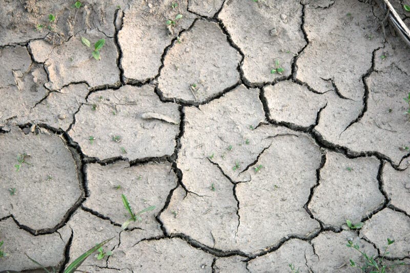 Dry ground