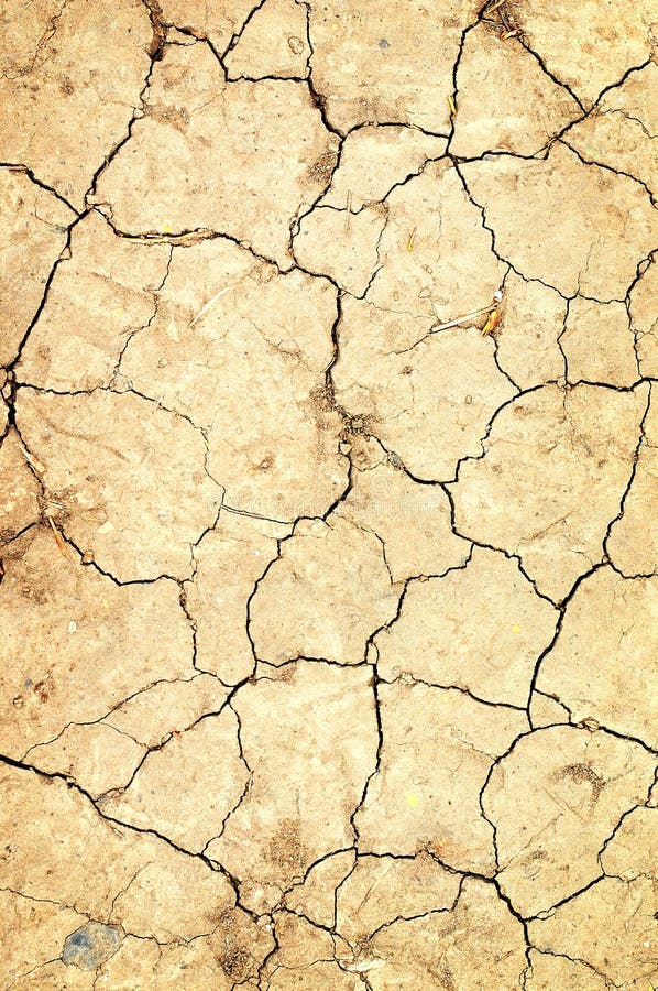 Dry ground with cracks