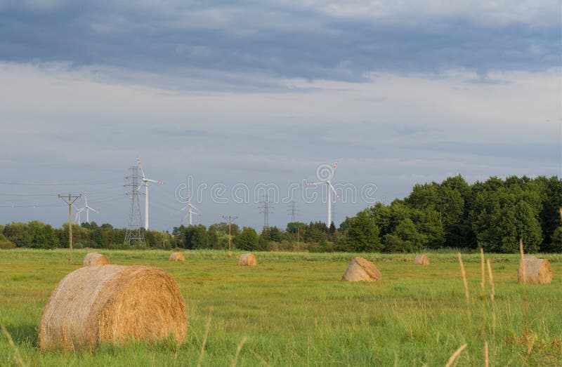 Dry hay stock photo. Image of horizon, grass, autumn 264575562