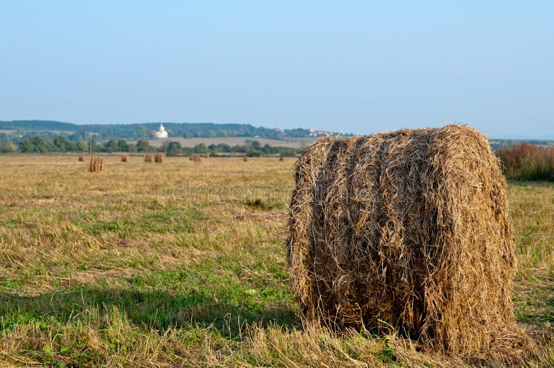 Dry hay stock image. Image of package, land, circle, countryside 45271789