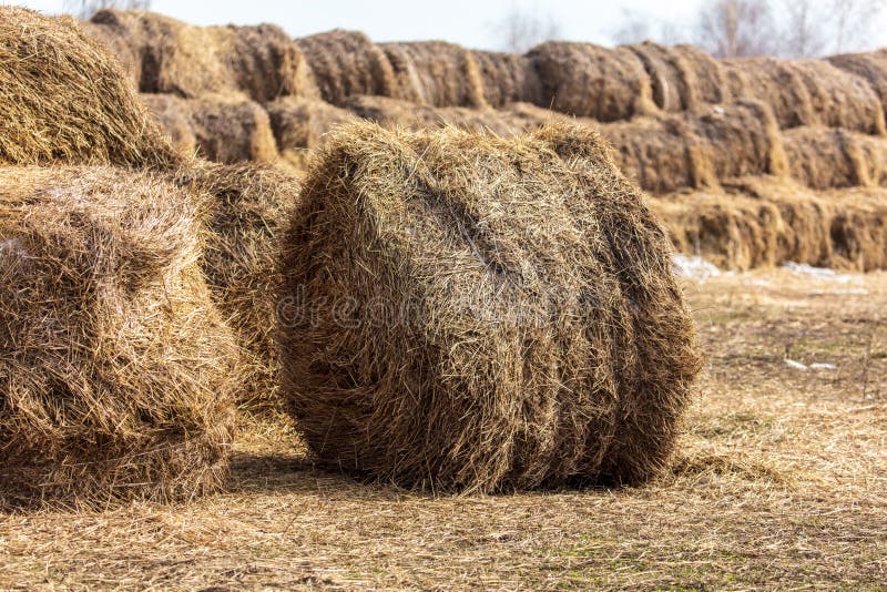 how to collect dry hay in farm simulator 14 how to collect dry hay in farm simulator 14