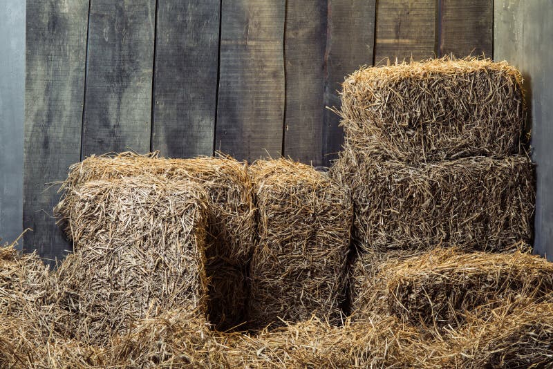 Dry hay stacks