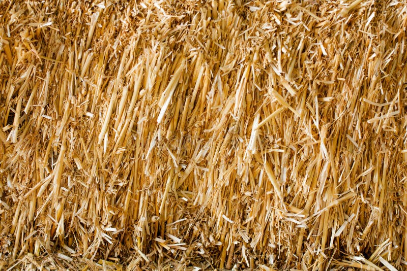 Dry Haystack background royalty free stock photo