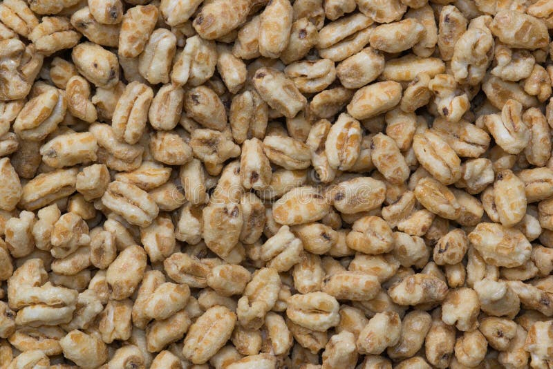 Dry honey puffed wheat cereal pieces scattered loosely directly above.