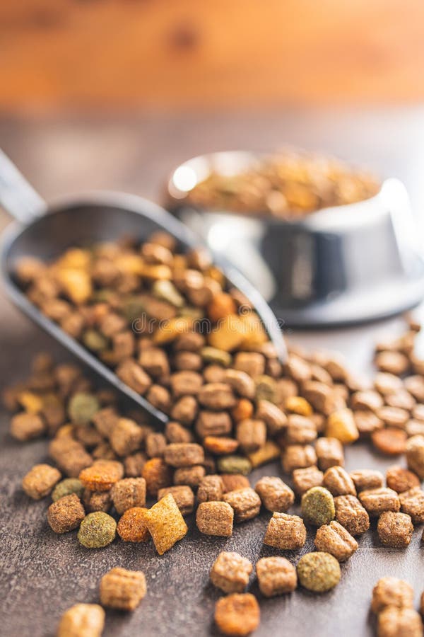 Dry Kibble Pet Food. Dog or Cat Food on Old Table Stock Image Image of snack, feed 281268077