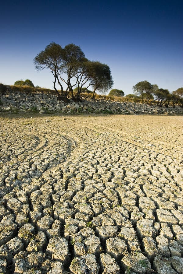 A dry lake in Istanbul / Turkey with a deep blue sky. 8. 2 MP RAW file also available.