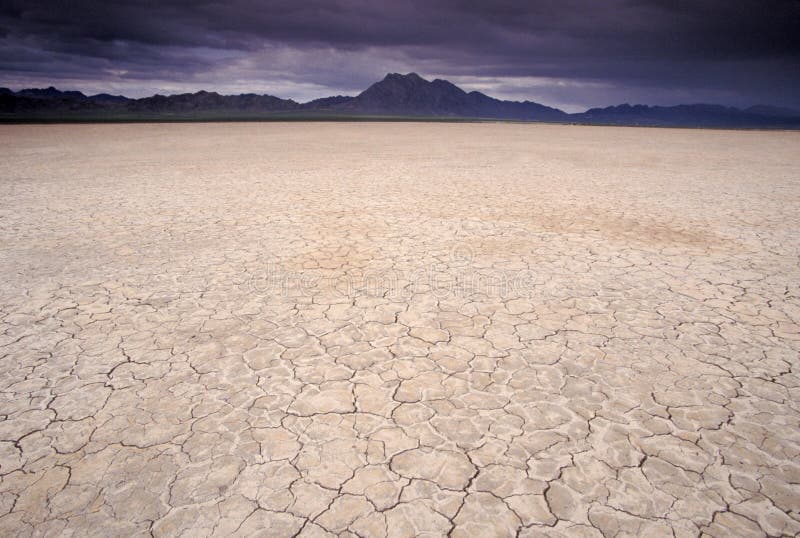 Dry and cracked lake bed in Arizona; USA. Dry and cracked lake bed in Arizona; USA