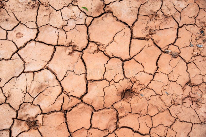 Dry Land, World Disaster, Broken Soil , Cracked Ground Background Stock