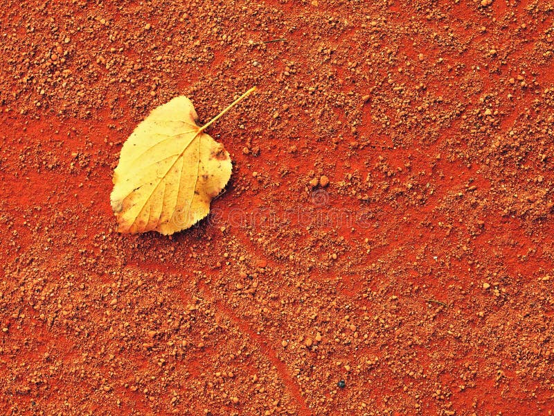 Dry leaf an tennis court. Dry light red crushed bricks surface stock photography Dry leaf an tennis court. Dry light red crushed bricks surface stock photography