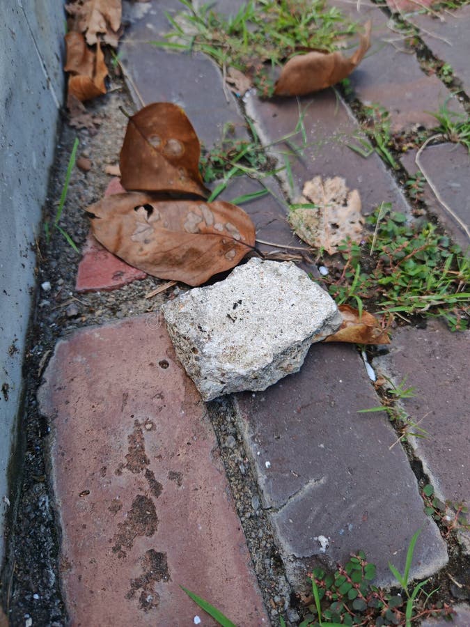 Dry leaves and a broken cement block rest on reddish brown bricks with grass sprouting between the gaps fotos de stock