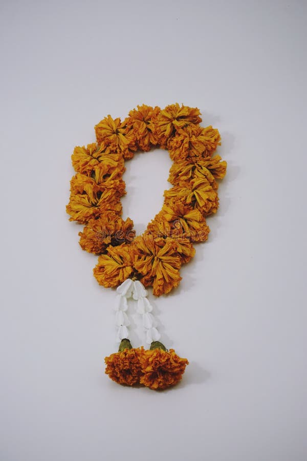 Dry Marigold Flower Garland Stock Photos Free & RoyaltyFree Stock