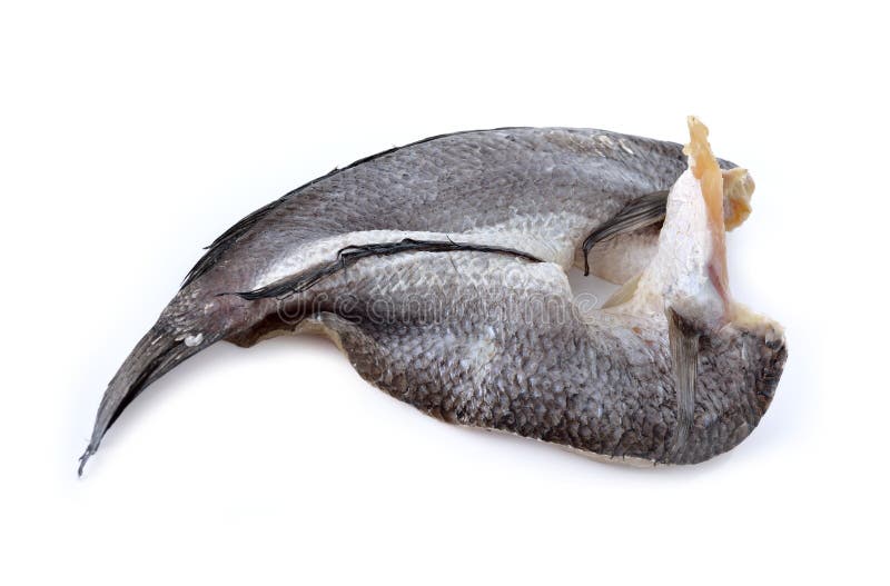 Dry Marinated Baby Mudfish One Sun On White Stock Image Image of