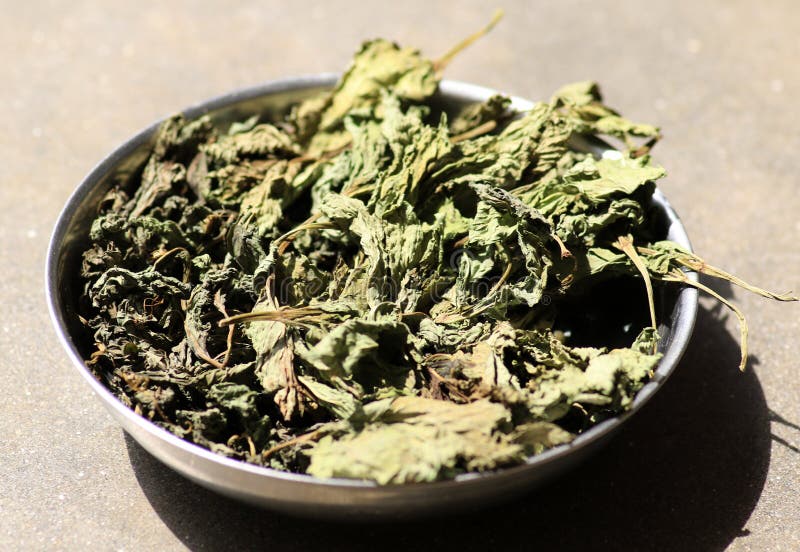 Dry mint leaves stock image. Image of mint, ingredient 59912343