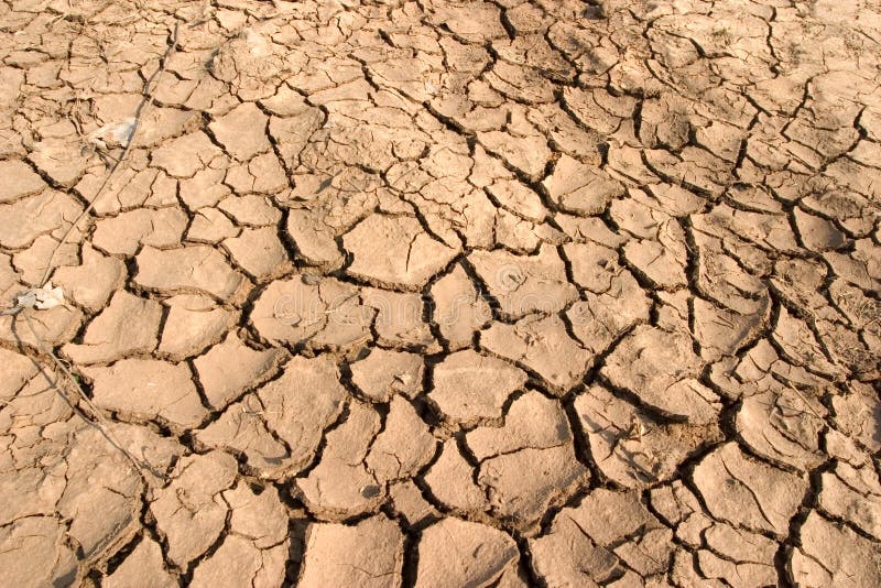 Dry Mud