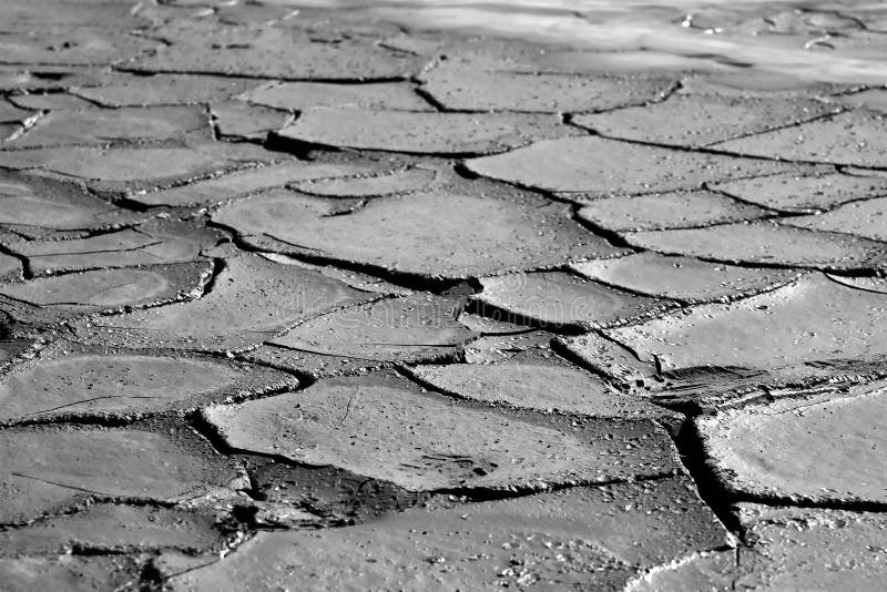 Dry mud shells