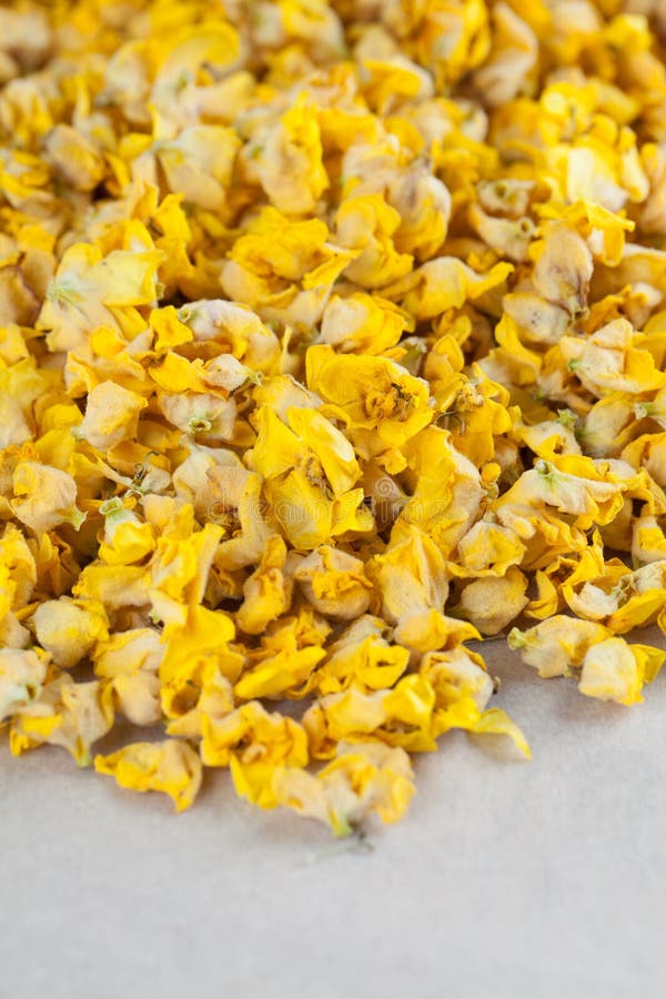 Dry mullein flowers stock image. Image of herbal, verbascum 32662811