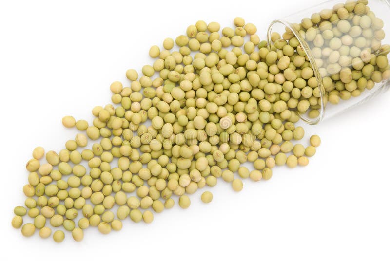Dry mung beans stock photo. Image of nutrition, bean 23125608