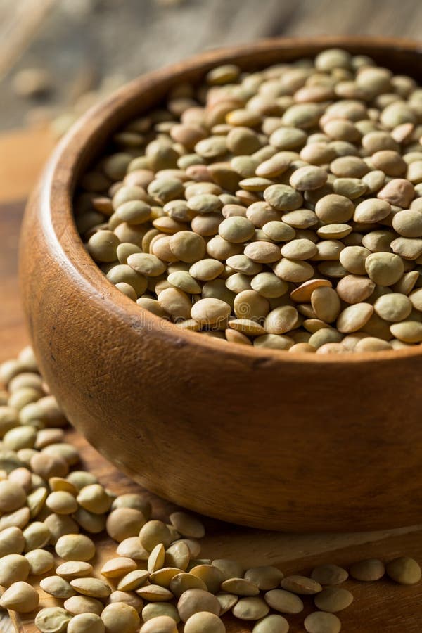 Dry Organic Green Lentils stock photo. Image of agriculture - 150525080