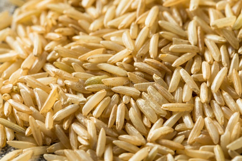 Dry Organic Indian Basmati Rice Stock Image Image of vegetarian
