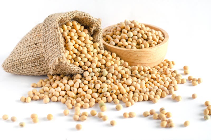 SeedRanch Soybean Food Plot Seed Certified - 50 Lbs. - Walmart.com