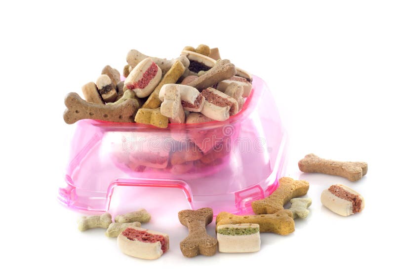 Dry pet food royalty free stock photography Dry pet food royalty free stock photography