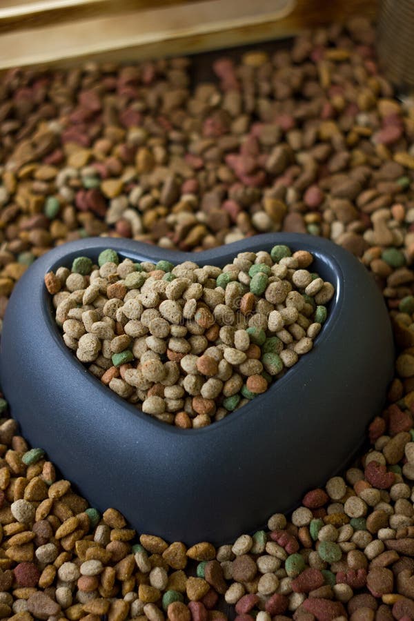 Dry Pet Food in Plastic Heart Bowl. Stock Image Image of treat, bowl