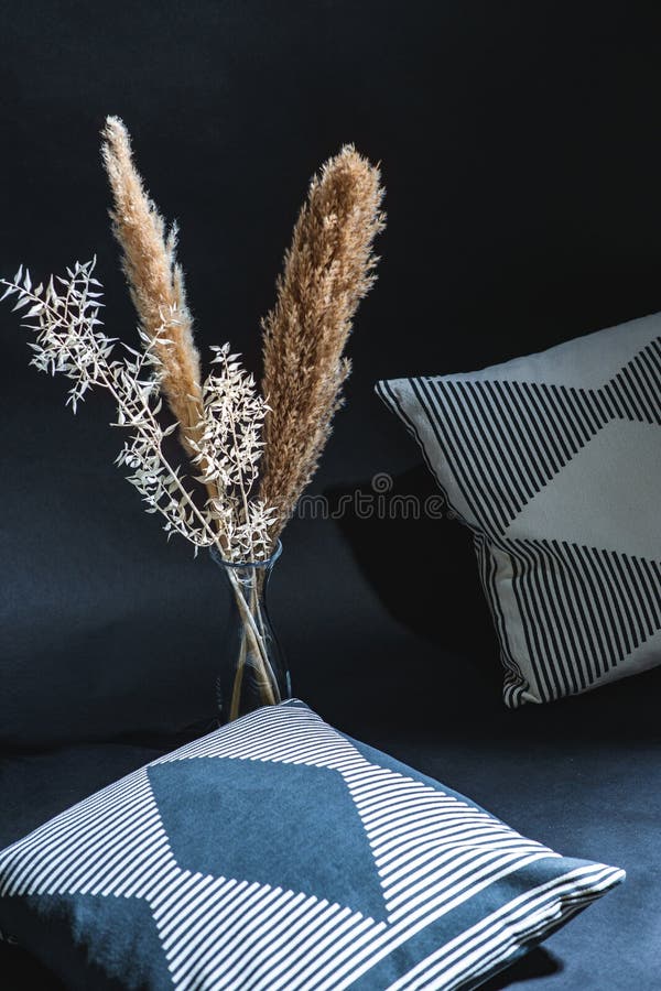 Dry Plants in Vase and Pillows in Dark Room Stock Photo Image of