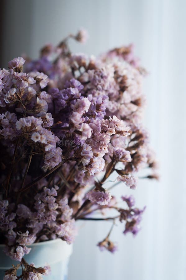 Dry purple flowers stock image. Image of glass, dried 138170973