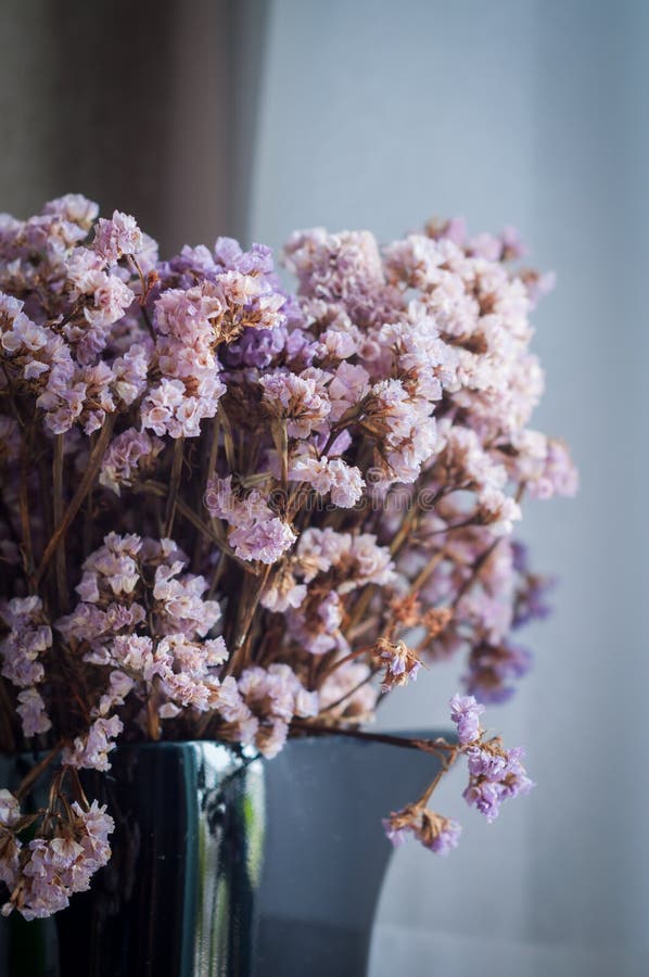 Dry purple flowers stock image. Image of style, nature 138171037