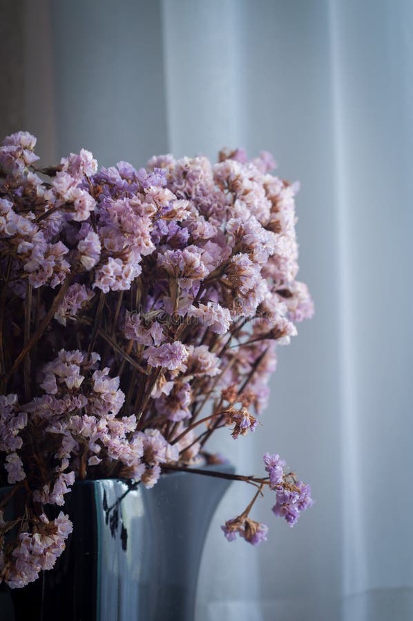 Dry purple flowers stock image. Image of glass, dried 138170973