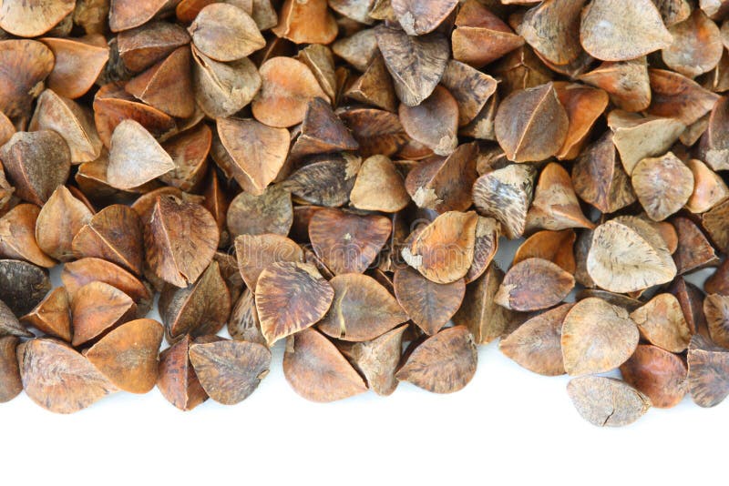 Dry raw buckwheat on white background