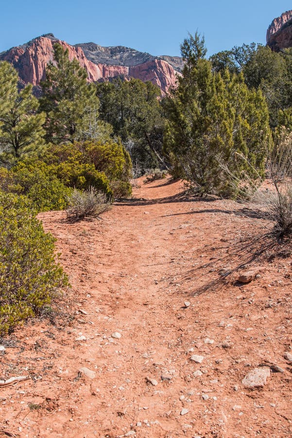 Dry Red Dirt Trail in the Desert Stock Image Image of brush, leisure