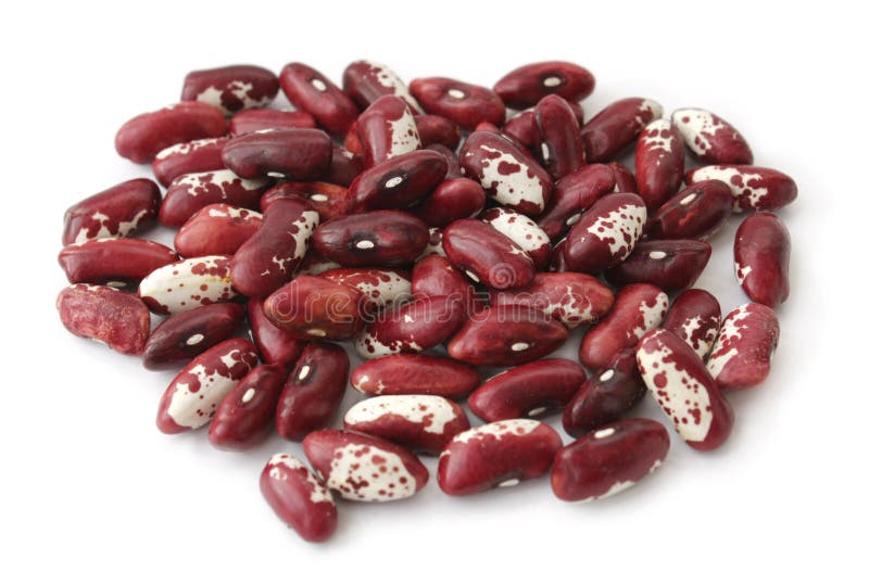 Dry Red Kidney Beans Stock Images Image 13316964
