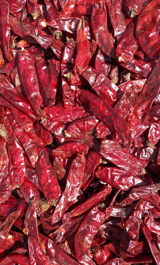 134 Kashmiri Chillies Stock Photos Free & RoyaltyFree Stock Photos