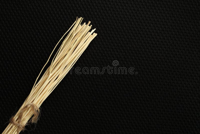 Dry reed stick scene. Dry reed stick for diffuser fluid put on dark background scene.