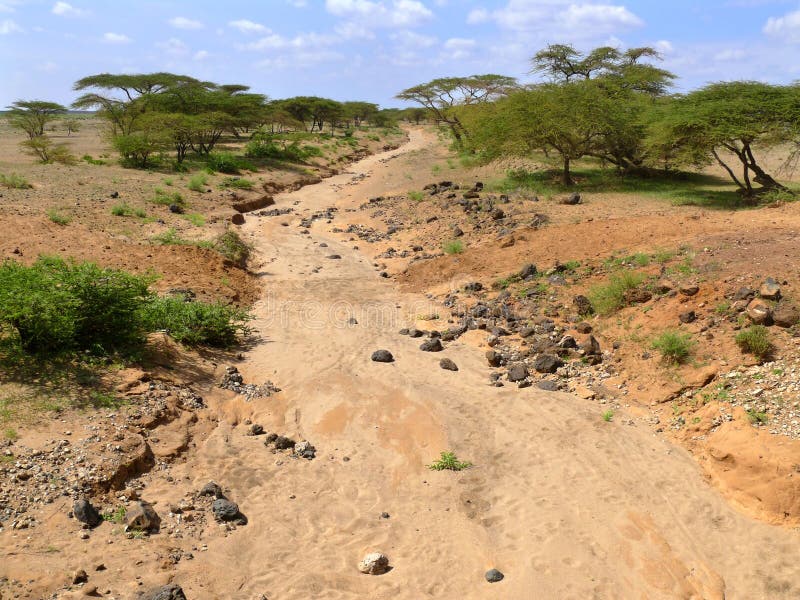 Dry Riverbed. Not Far Away Forest. Africa, Kenya. Stock Photography