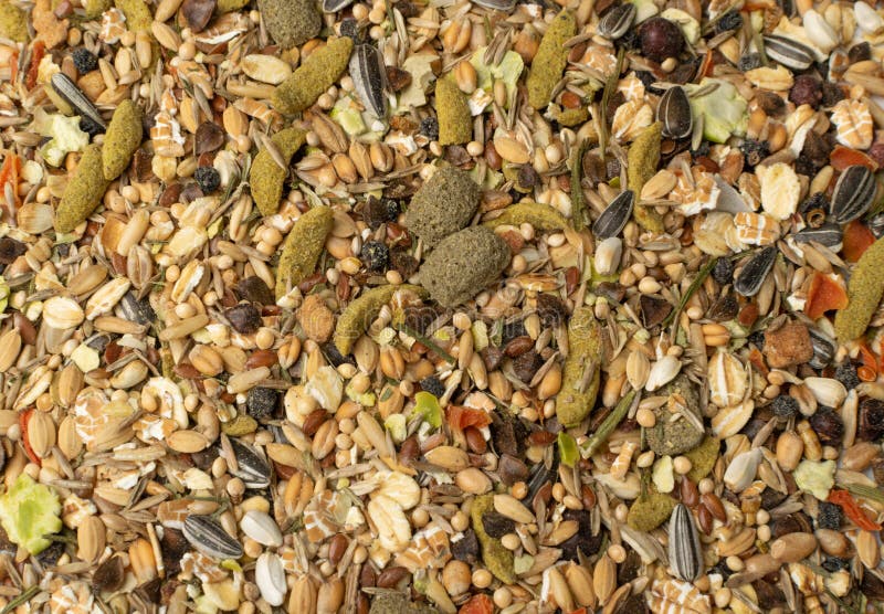 Dry rodent food texture background for mouse, rabbit or degu top view. Balanced hamster feed pattern with cereals, seeds, peas, dried vegetables. Dry rodent food texture background for mouse, rabbit or degu top view. Balanced hamster feed pattern with cereals, seeds, peas, dried vegetables