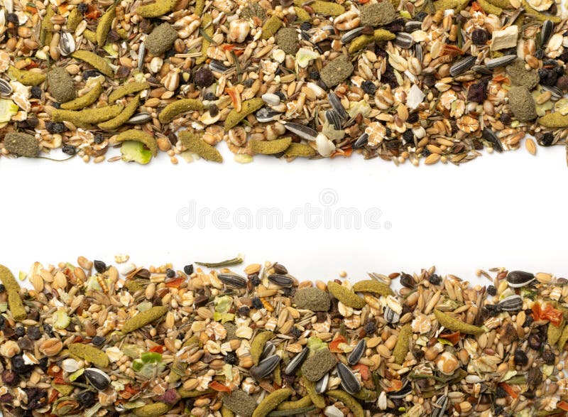 Dry rodent food mix frame isolated on white background. Balanced hamster feed mockup with cereals, seeds, peas, dried vegetables. Dry rodent food mix frame isolated on white background. Balanced hamster feed mockup with cereals, seeds, peas, dried vegetables