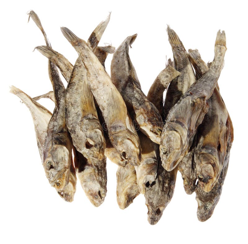9,811 Stockfish Images, Stock Photos, 3D objects, & Vectors