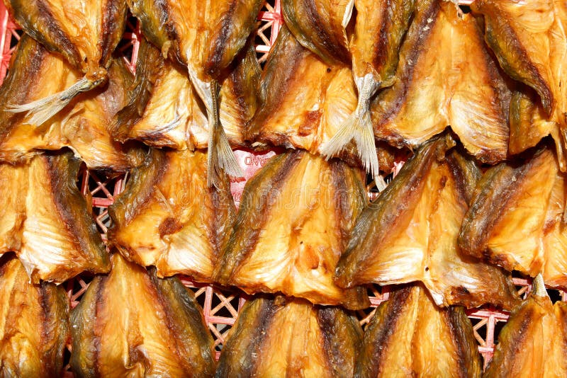 Dry salted fish stock photo. Image of herizontal, salted 67632304