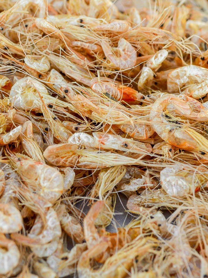 Dry shrimps stock image. Image of sale, market, ethnic 7811107