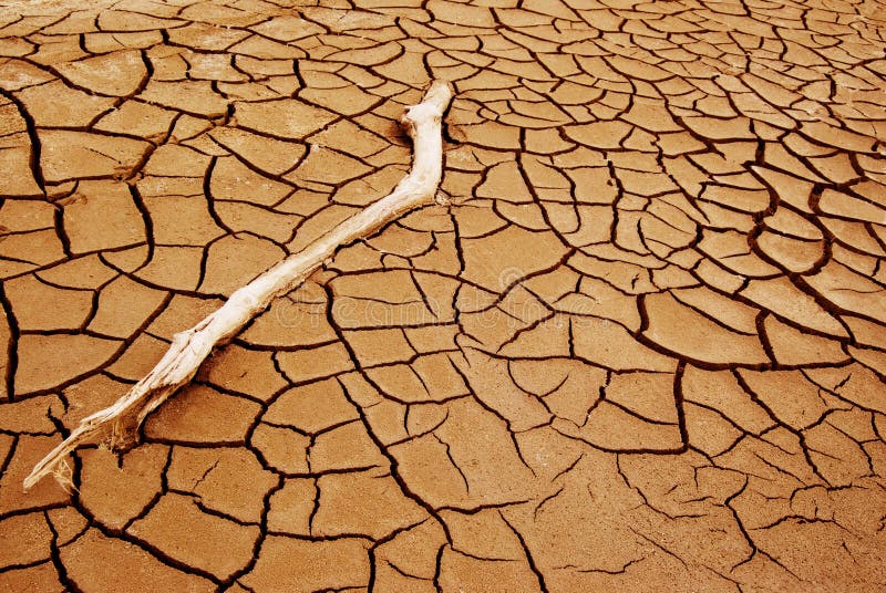 A piece of driftwood on a dry cracked muddy red surface, a symbol for climate change. A piece of driftwood on a dry cracked muddy red surface, a symbol for climate change