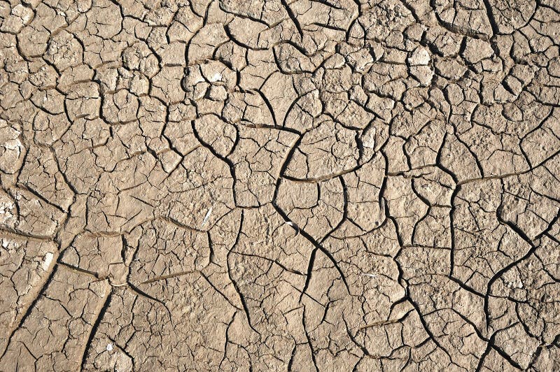 Dry soil with crack