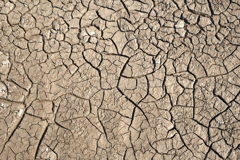 Dry soil with crack