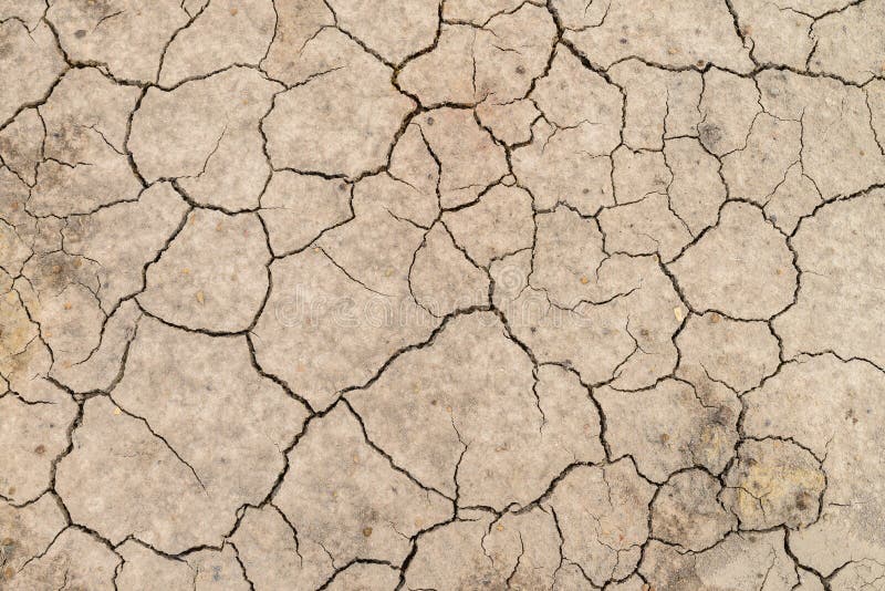 Dry soil cracked earth texture