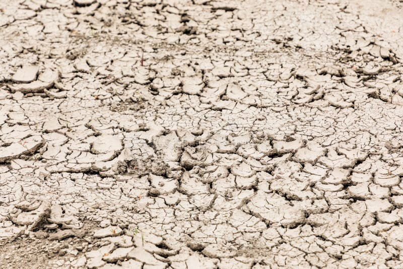 Dry Soil Cracks Desert Ground Drought Stock Image Image Of Abstract