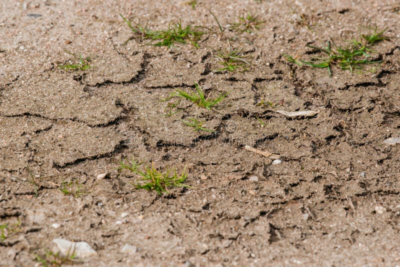 Dry soil with green grass stock image. Image of clay 69058689